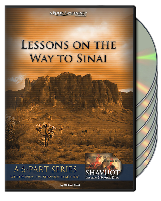 All products 20% off!