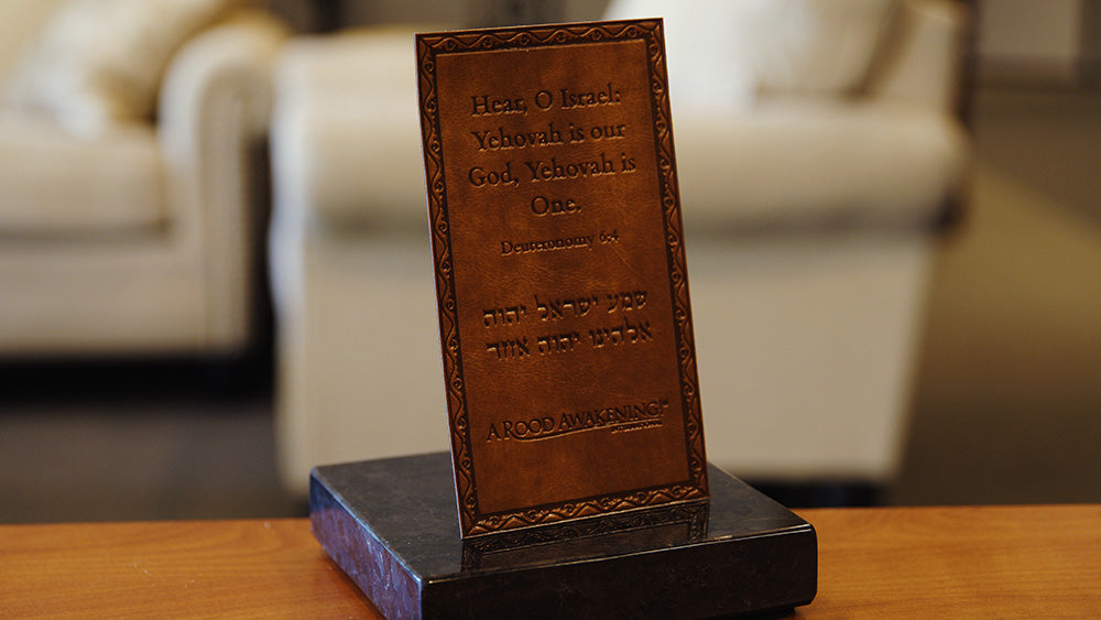 November 2025 Love Gift Collection: "Reclaiming Noah's Ark"