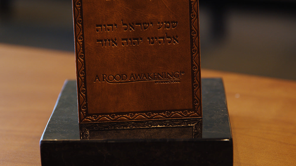 November 2025 Love Gift Collection: "Reclaiming Noah's Ark"