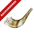 Plastic children's shofar