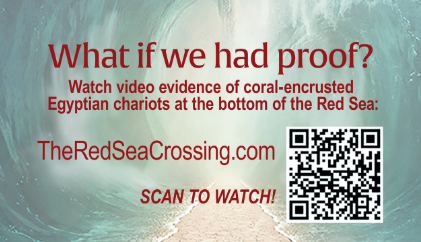 Red Sea Crossing Share Cards