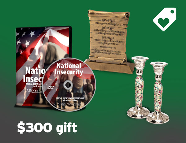 July 2025 Love Gift SPECIAL OFFER: "National Insecurity"