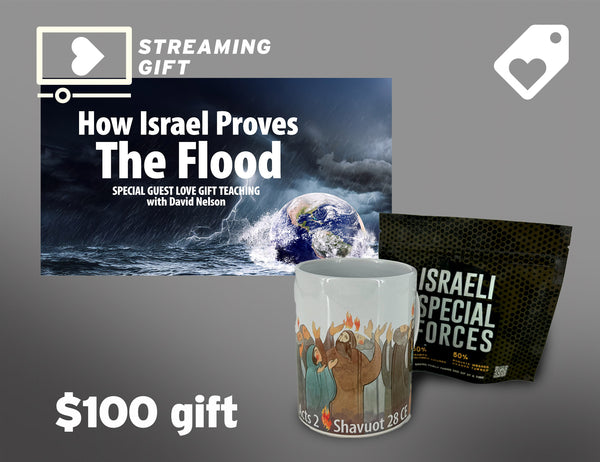APP VERSION - TEACHING & GIFT ($100)