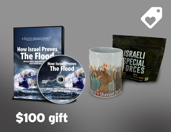 June 2025 Love Gift Collection: "How Israel Proves The Flood"