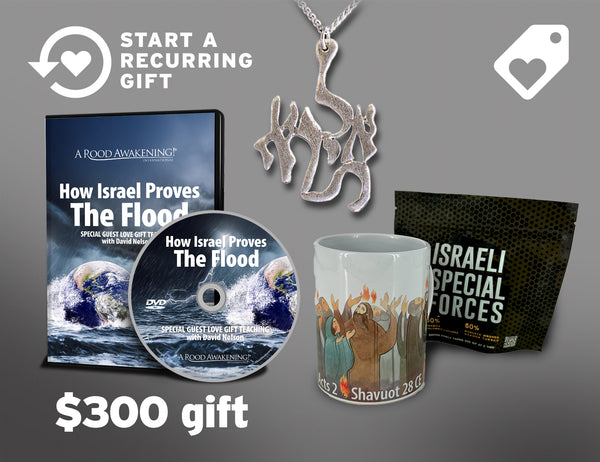 Recurring Love Gift Option - SPECIAL EDITION GIFT