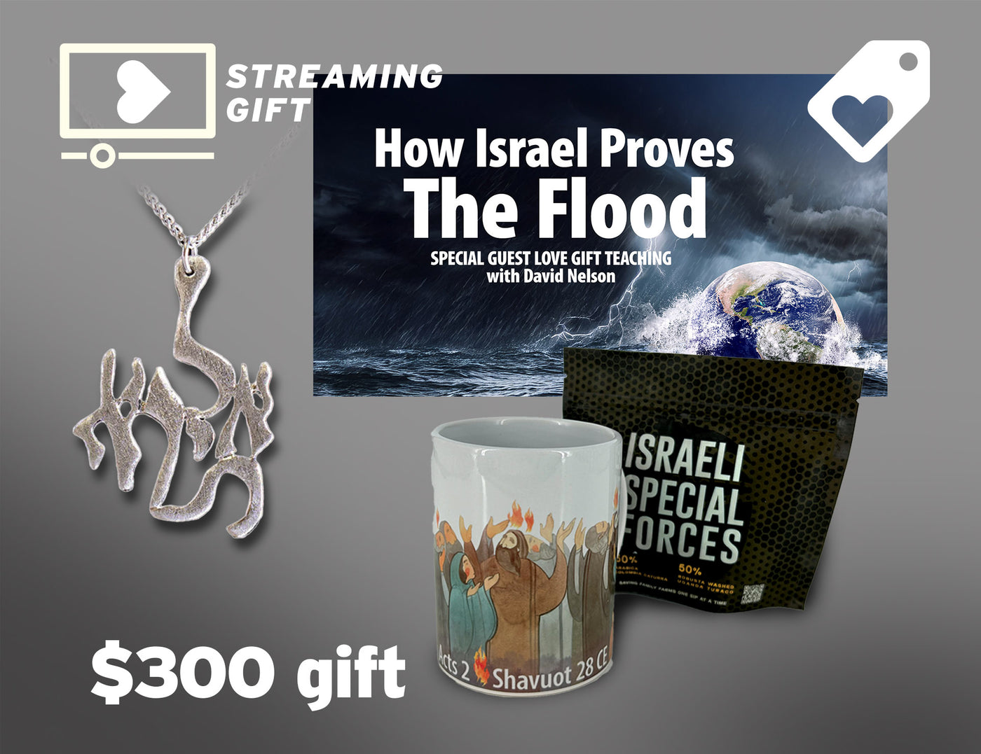 APP VERSION - SPECIAL EDITION GIFT