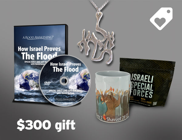 June 2025 Love Gift SPECIAL OFFER: "How Israel Proves The Flood"