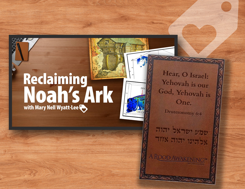 November 2025 Love Gift Collection: "Reclaiming Noah's Ark"