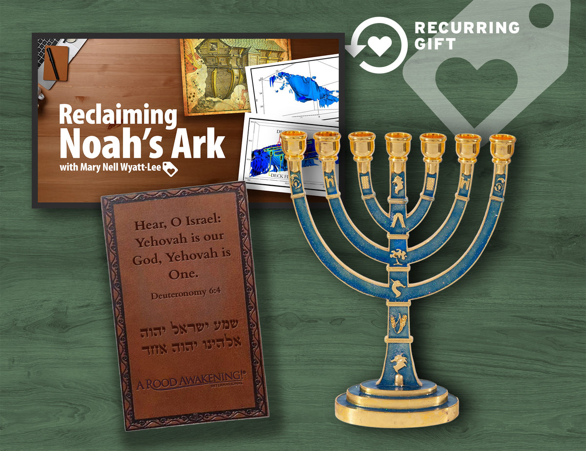 Recurring Love Gift Option - SPECIAL EDITION GIFT