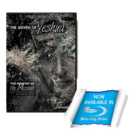 February 2016 Love Gift: The Mikveh of Yeshua
