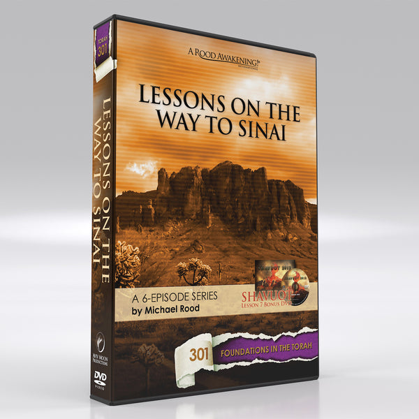 Lessons on the Way to Sinai