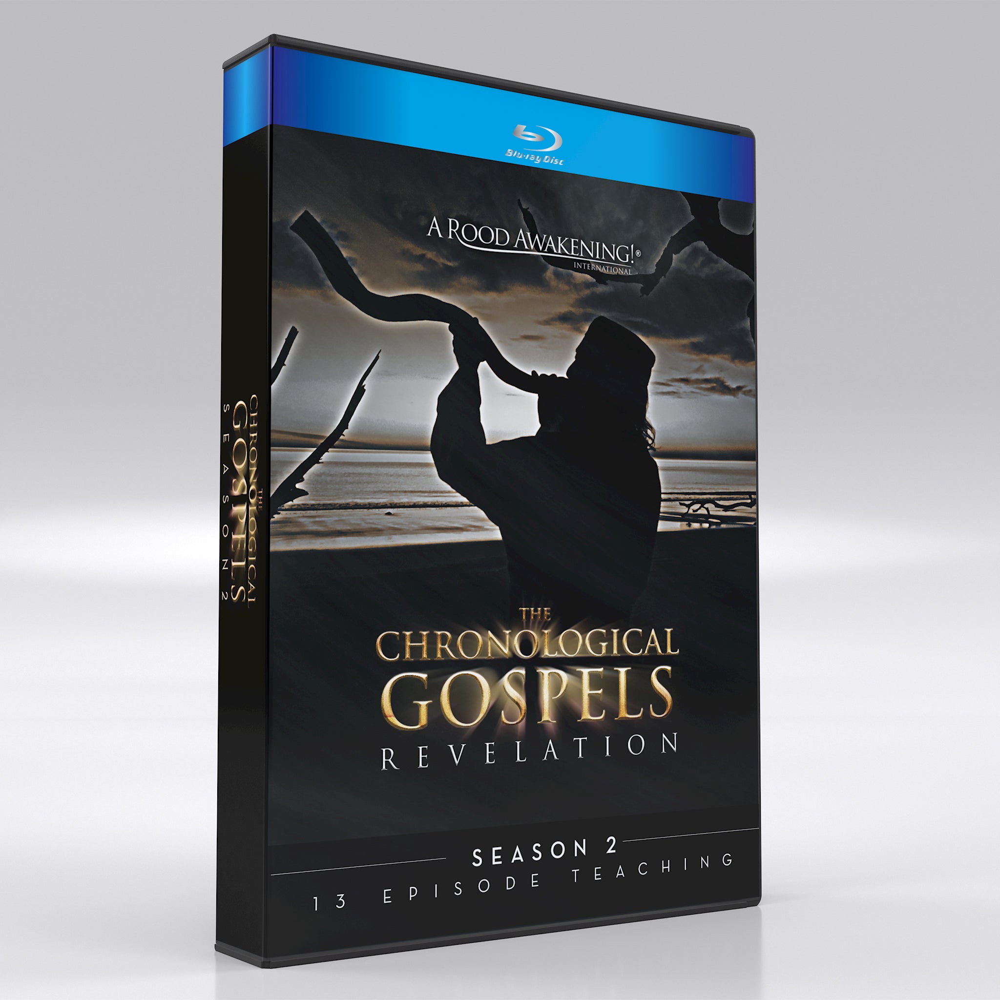 The Chronological Gospels (SEASON 2) - REVELATION