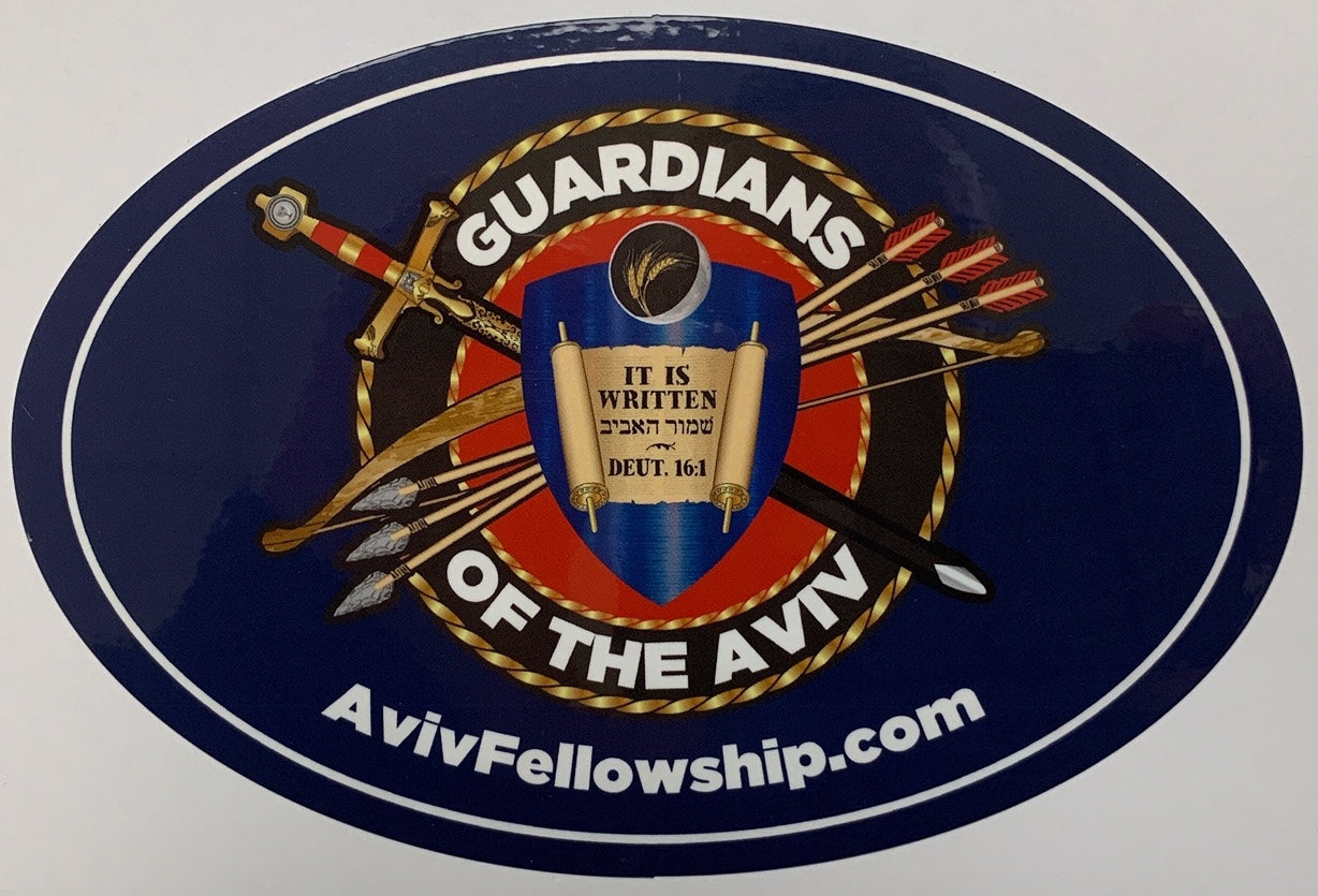 Guardians of the Aviv Stickers (6"x4")
