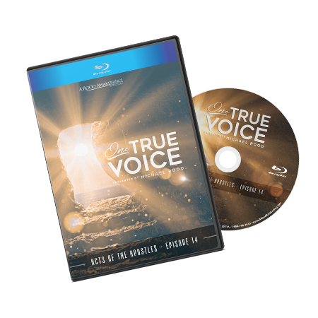 December 2018 Love Gift: "One True Voice"