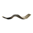 Great Kudu Shofar (LARGE: 34" to 37")